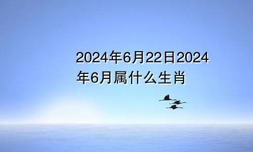 2024年6月22日2024年6月属什么生肖