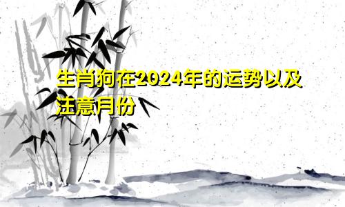 生肖狗在2024年的运势以及注意月份