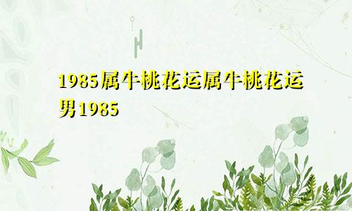 1985属牛桃花运属牛桃花运男1985