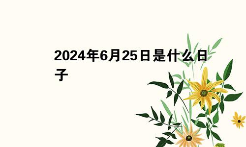 2024年6月25日是什么日子
