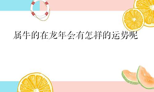 属牛的在龙年会有怎样的运势呢