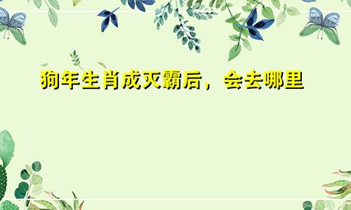 狗年生肖成灭霸后，会去哪里
