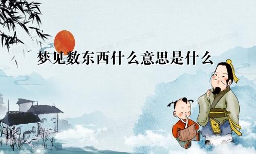 梦见数东西什么意思是什么