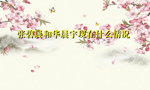 张碧晨和华晨宇现在什么情况