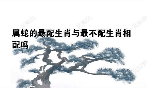 属蛇的最配生肖与最不配生肖相配吗