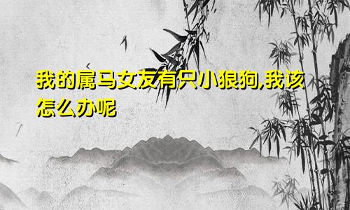 我的属马女友有只小狼狗,我该怎么办呢