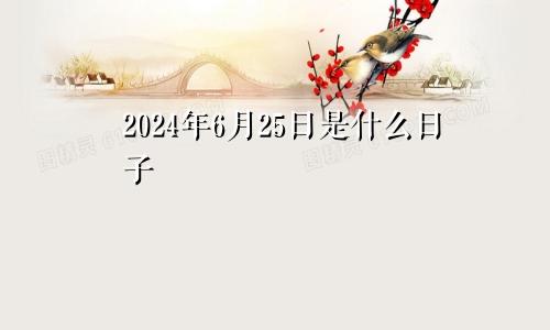 2024年6月25日是什么日子