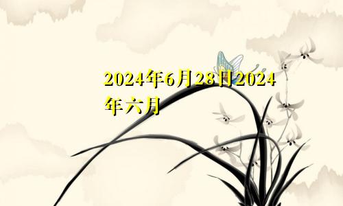 2024年6月28日2024年六月