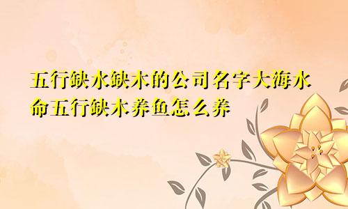 五行缺水缺木的公司名字大海水命五行缺木养鱼怎么养