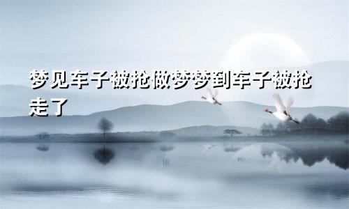 梦见车子被抢做梦梦到车子被抢走了