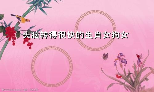 头脑转得很快的生肖女狗女