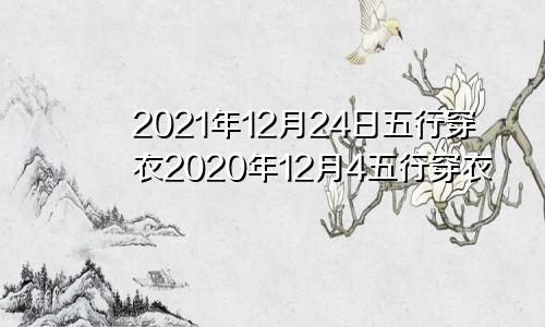 2021年12月24日五行穿衣2020年12月4五行穿衣