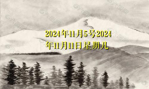 2024年11月5号2024年11月11日星期几