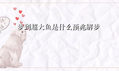 梦到超大鱼是什么预兆解梦