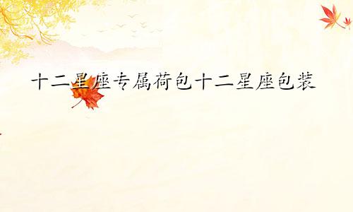 十二星座专属荷包十二星座包装