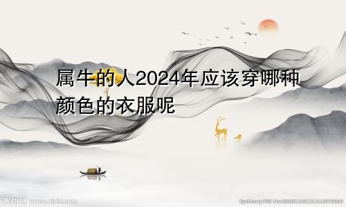 属牛的人2024年应该穿哪种颜色的衣服呢