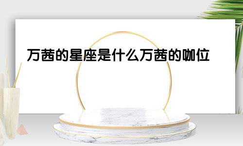 万茜的星座是什么万茜的咖位