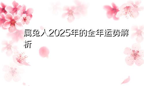 属兔人2025年的全年运势解析