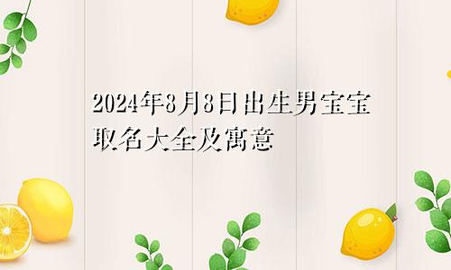 2024年8月8日出生男宝宝取名大全及寓意