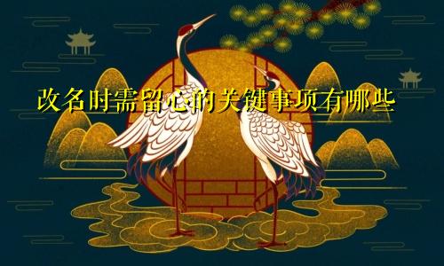 改名时需留心的关键事项有哪些