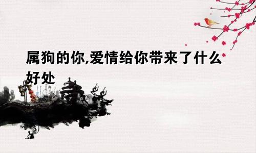 2024年农历十一月十四是2021年农历11月14