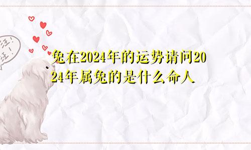 兔在2024年的运势请问2024年属兔的是什么命人