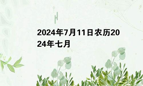 2024年7月11日农历2024年七月