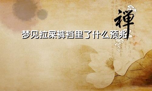 梦见拉屎裤裆里了什么预兆