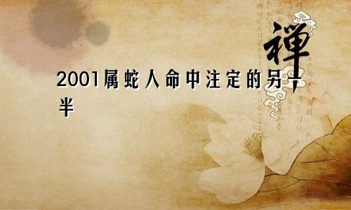 2001属蛇人命中注定的另一半