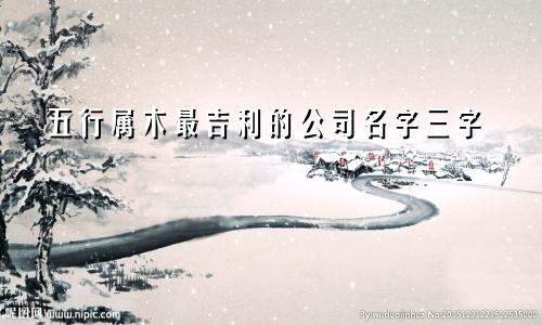 五行属木最吉利的公司名字三字