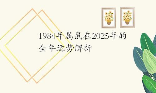 1984年属鼠在2025年的全年运势解析