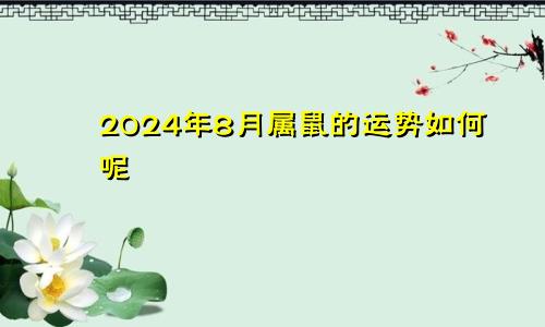 2024年8月属鼠的运势如何呢