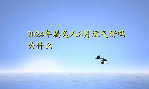2024年属兔人8月运气好吗为什么