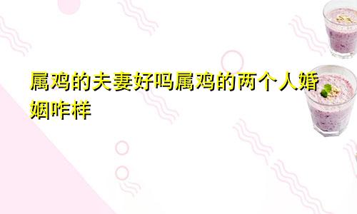 属鸡的夫妻好吗属鸡的两个人婚姻咋样
