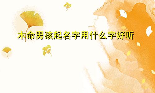 木命男孩起名字用什么字好听