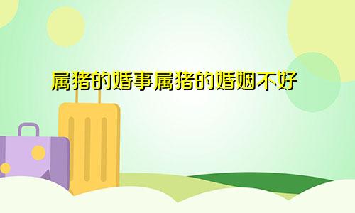 属猪的婚事属猪的婚姻不好