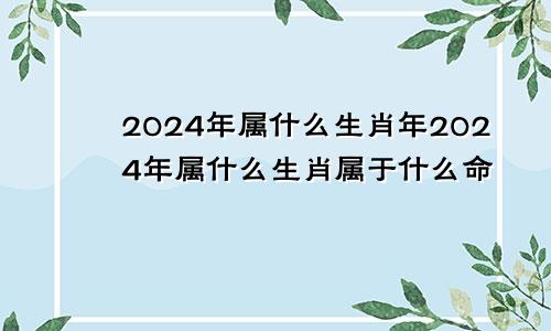 2024年属什么生肖年2024年属什么生肖属于什么命