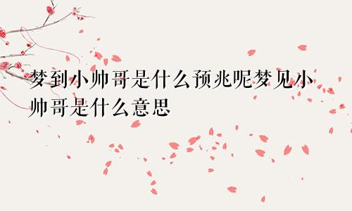 梦到小帅哥是什么预兆呢梦见小帅哥是什么意思