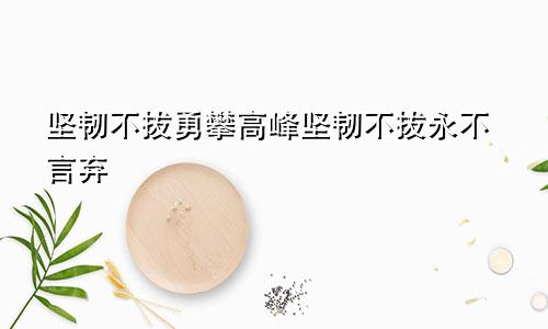 坚韧不拔勇攀高峰坚韧不拔永不言弃