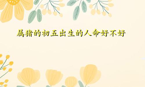 属猪的初五出生的人命好不好