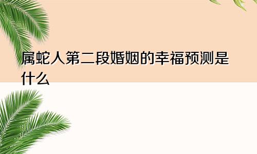 属蛇人第二段婚姻的幸福预测是什么