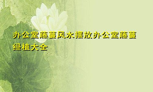 办公室藤蔓风水摆放办公室藤蔓绿植大全