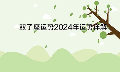 双子座运势2024年运势详解