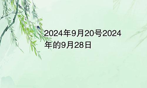 2024年9月20号2024年的9月28日