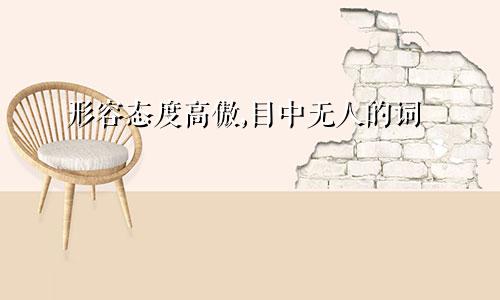 形容态度高傲,目中无人的词