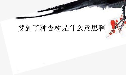 梦到了种杏树是什么意思啊