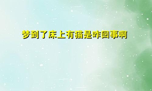 梦到了床上有猫是咋回事啊