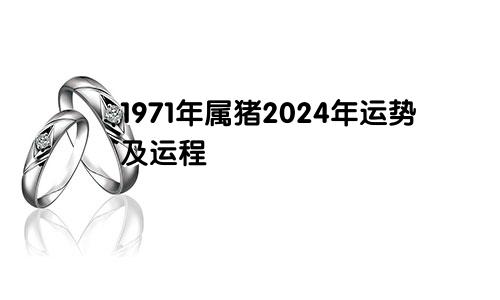 1971年属猪2024年运势及运程