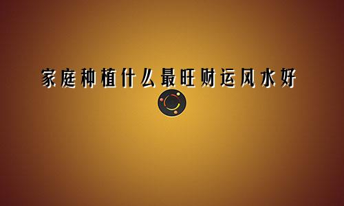 家庭种植什么最旺财运风水好