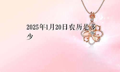 2025年1月20日农历是多少
